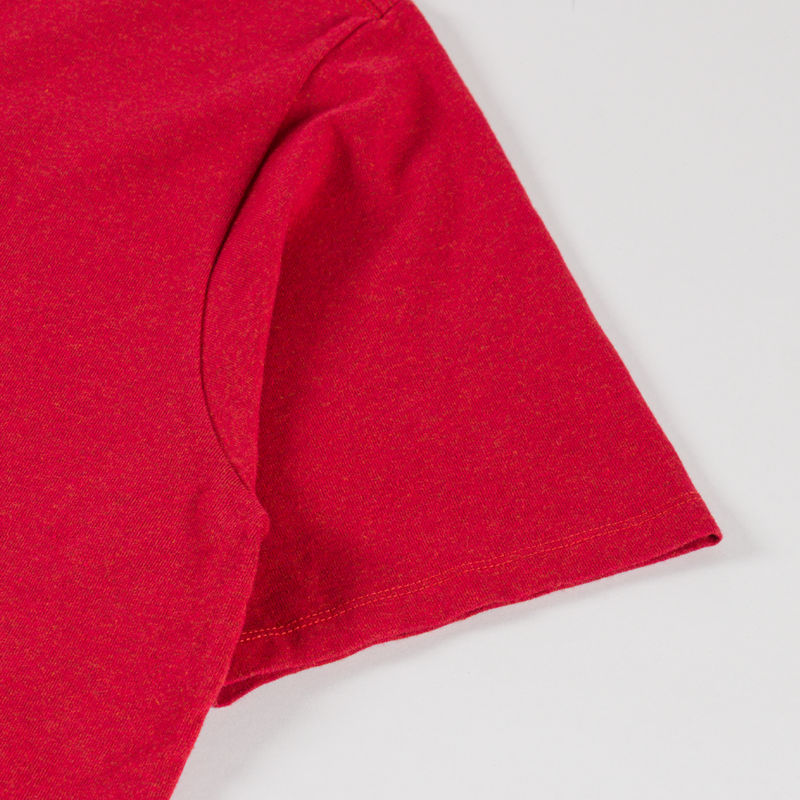 Patagonia P-6 Logo Responsibili-Tee Amanita Red-7