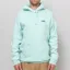Patagonia '73 Skyline Uprisal Hoody Rinsed Green
