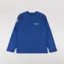 Patagonia Lightweight Unity Fitz Wildrise Crew Clement Blue