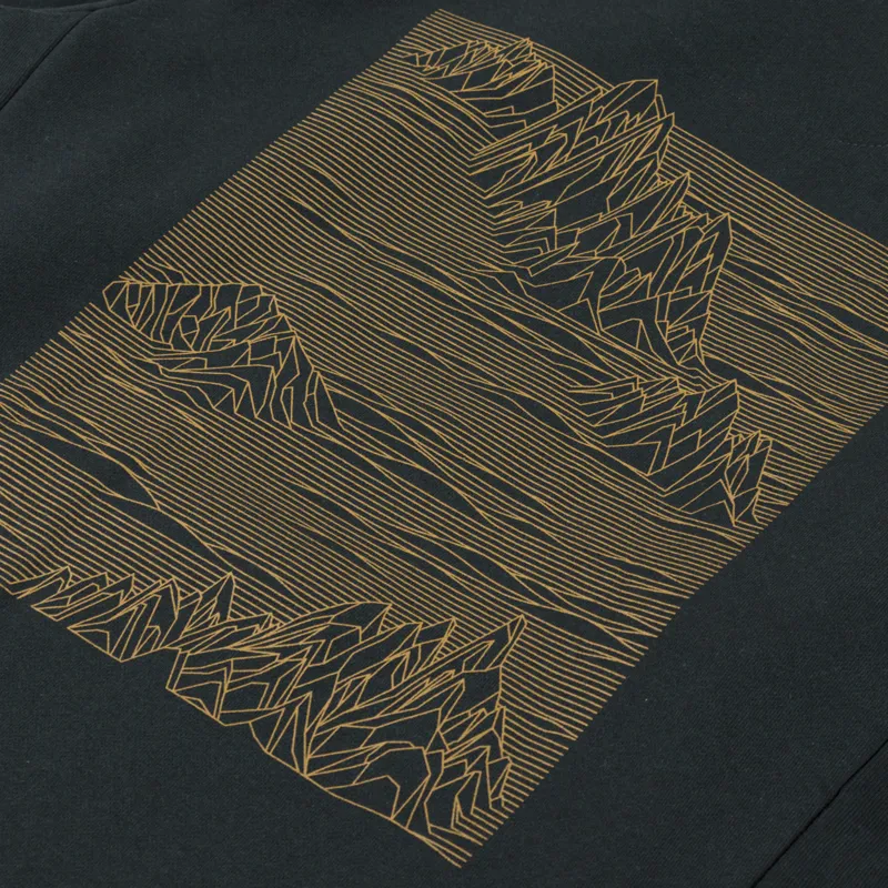 Patagonia Strataspire Uprisal Hoodie Old Growth Green-4