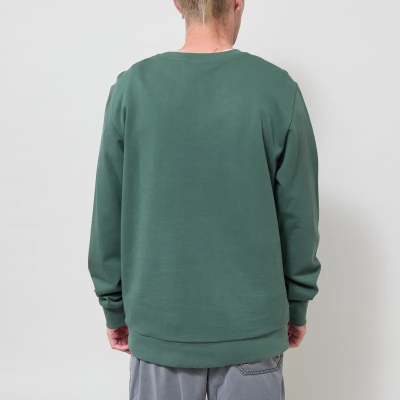 Patagonia Fitz Roy Massif Daily Crew Canopy Green-2