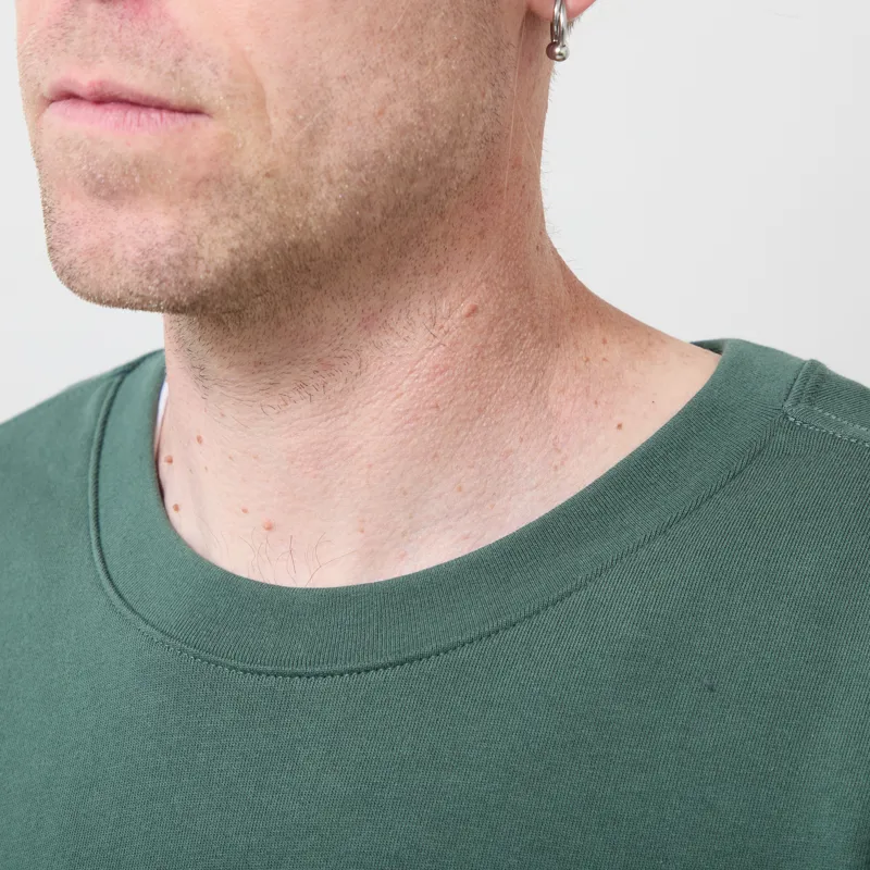 Patagonia Fitz Roy Massif Daily Crew Canopy Green-3