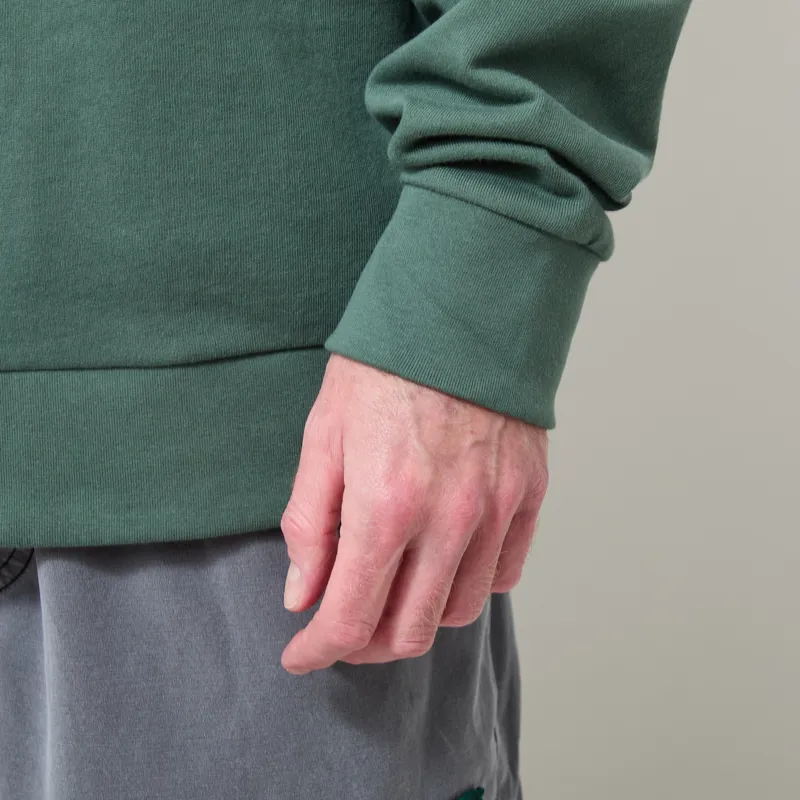 Patagonia Fitz Roy Massif Daily Crew Canopy Green-5