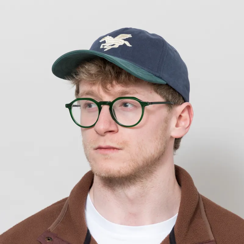 Goodies Sportive 3D Pegasus Washed Cap Green Blue