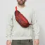 Patagonia Terravia Hip Pack 4L Dried Vanilla