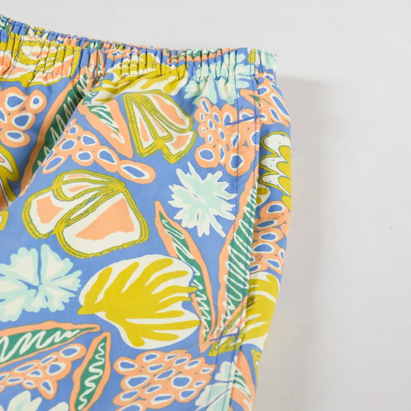 Patagonia Baggies Shorts 5 Inch Flourish Abundant Blue-3
