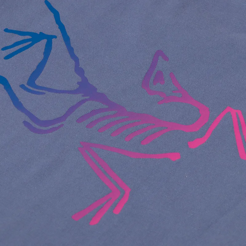 Arc'teryx Kragg Cotton Logo T Shirt Stratus Multi-4