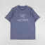 Arc'teryx Arc'Word Logo T Shirt Stratus Arctic Silk