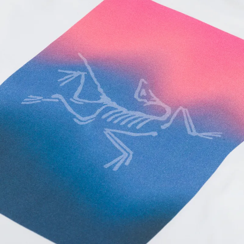 Arc'teryx Kragg Cotton Heatmap Long Sleeve T Shirt White Light Multi-4