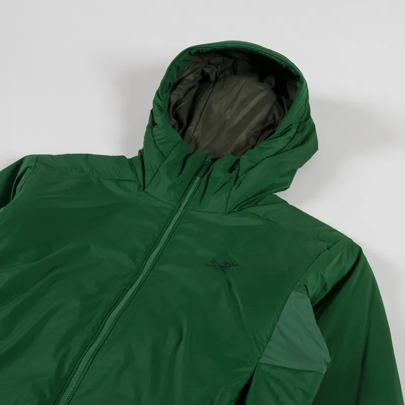 Arc'teryx Atom Heavyweight Hoody Eden-3