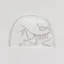 Arc'teryx Bird Head Toque Arctic Silk Rune