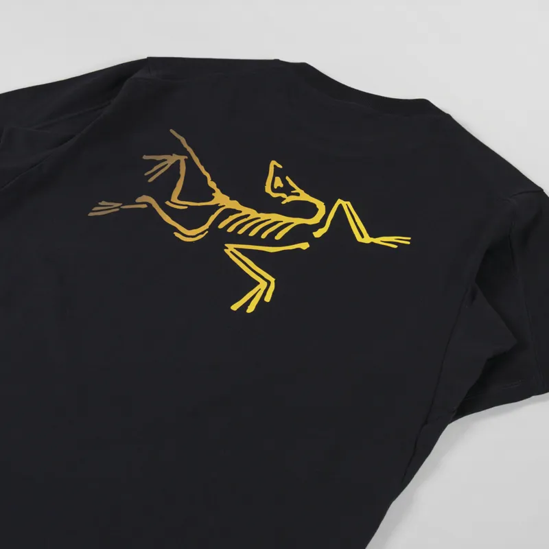 Arc'teryx Kragg Cotton Logo T Shirt 24K Black-2