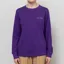 Arc'teryx Womens Kragg Cotton Bird Long Sleeve T Shirt Azalea Aster