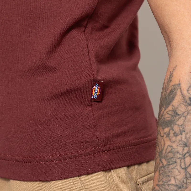 Dickies Womens Slayden Ringer T Shirt Andorra-8