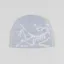Arc'teryx Bird Head Toque Solitude Arctic Silk