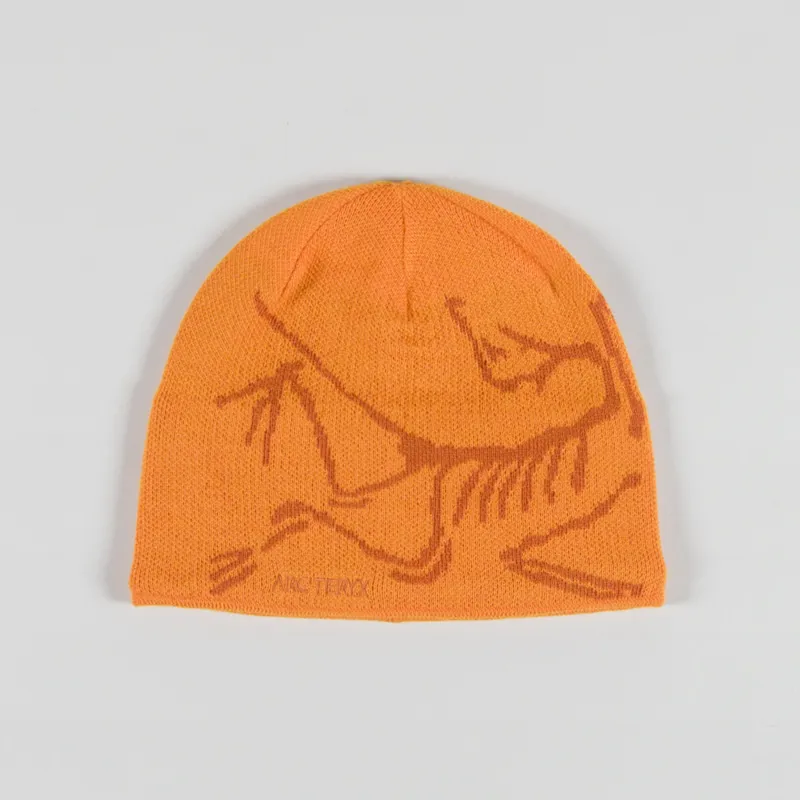 Arcteryx Hats & Beanies | Working Class Heroes