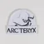 Arc'teryx Bird Word Toque Orca