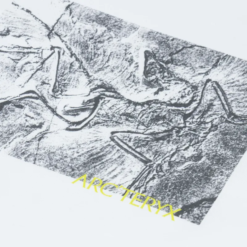 Arc'teryx Kragg Cotton Lithographica T Shirt White Light-4