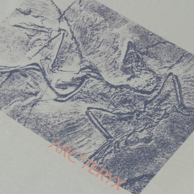 Arc'teryx Kragg Cotton Lithographica T Shirt Habitat-3