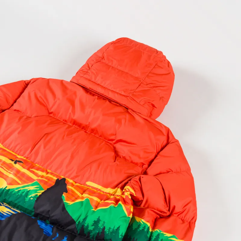 Polo Ralph Lauren Gorham Polo Sportsman Down Jacket Great Outdoors Print-6