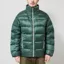 Patagonia Fitz Roy Down Jacket Canopy Green