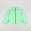 The North Face 1996 Retro Nuptse Insulated Down Jacket Chlorophyll Green