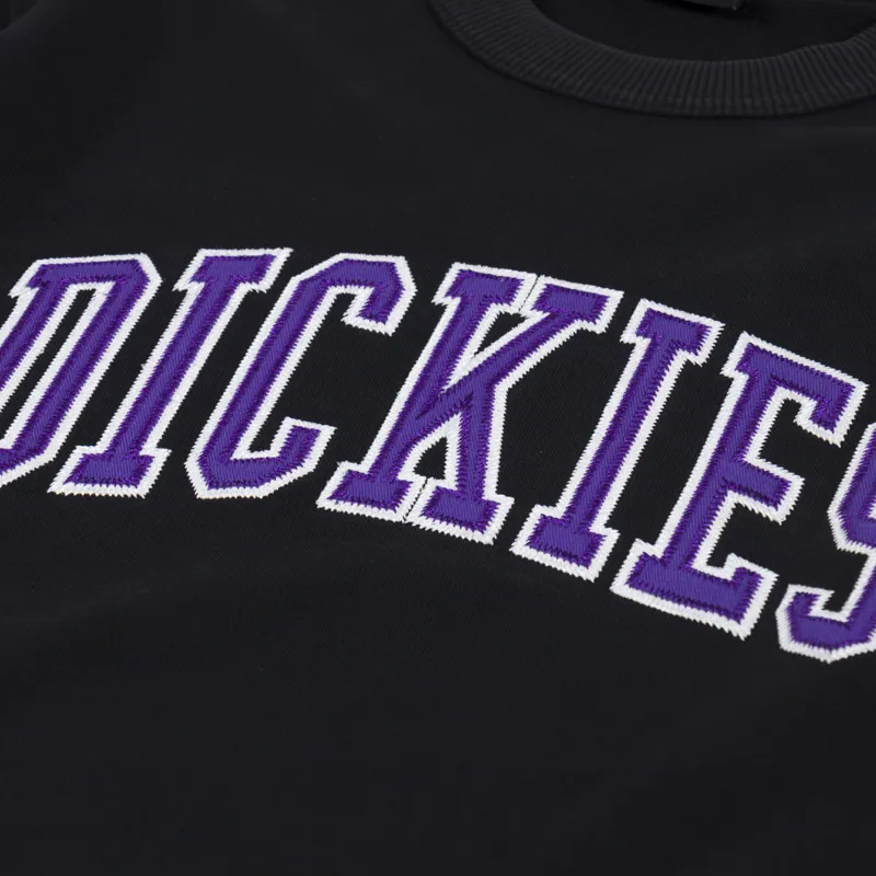 Dickies Aitkin Sweatshirt Black Imperial Palace-3
