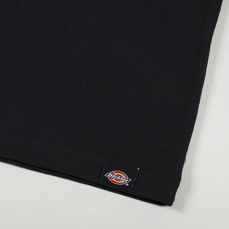 Dickies Aitkin T Shirt Black Imperial Palace-3