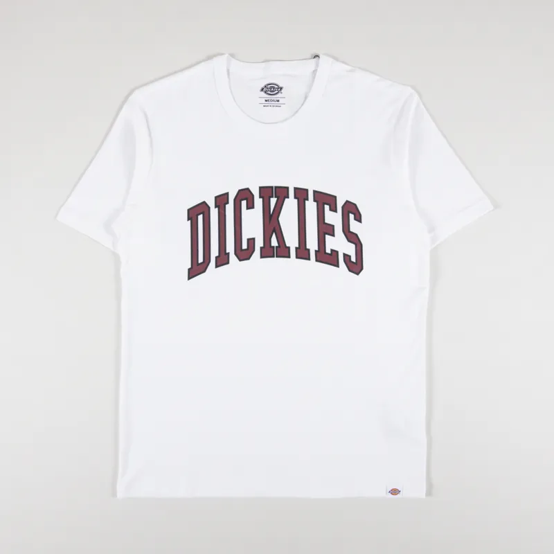 Dickies Aitkin T Shirt White Fired Brick