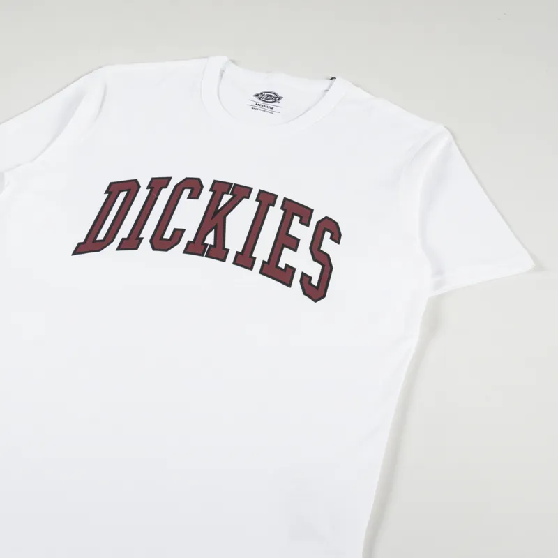 Dickies Aitkin T Shirt White Fired Brick-1