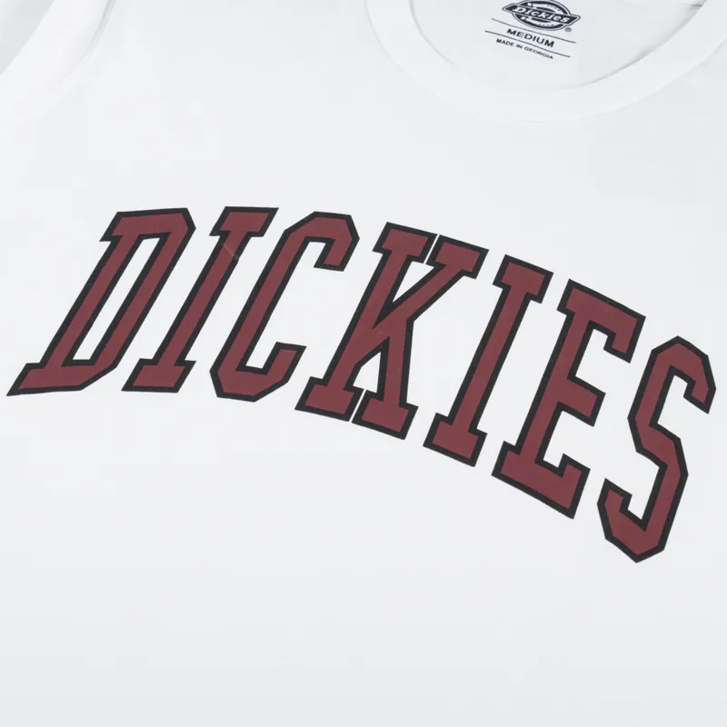 Dickies Aitkin T Shirt White Fired Brick-2
