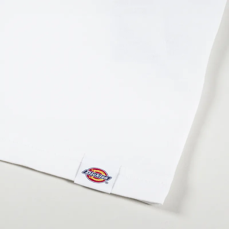 Dickies Aitkin T Shirt White Fired Brick-3