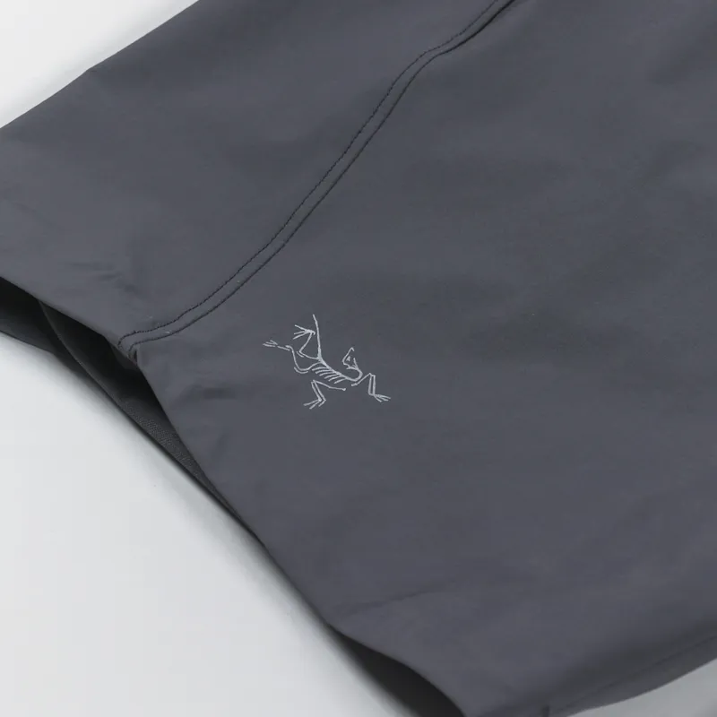 Arcteryx Aptin Short Cloud-3