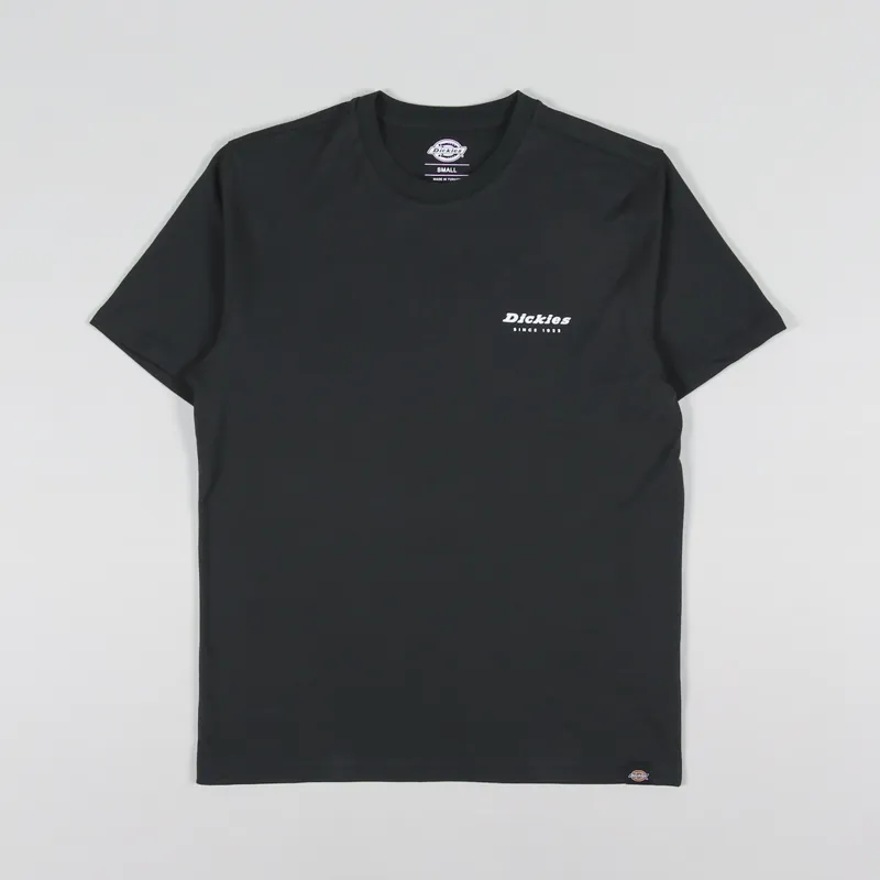 Dickies Artondale Box T Shirt Black-1