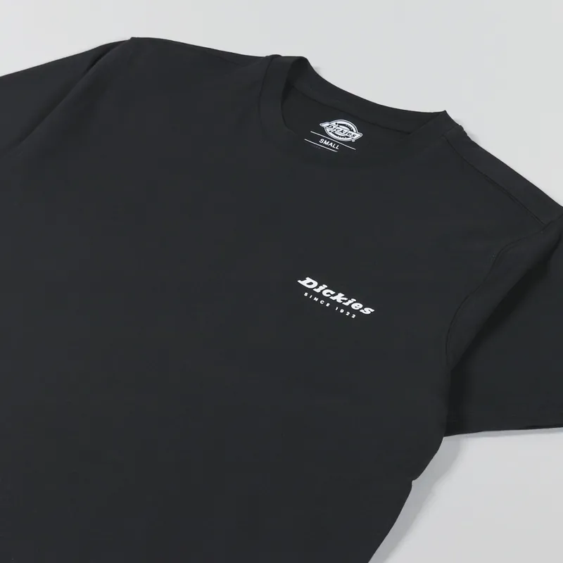 Dickies Artondale Box T Shirt Black-3