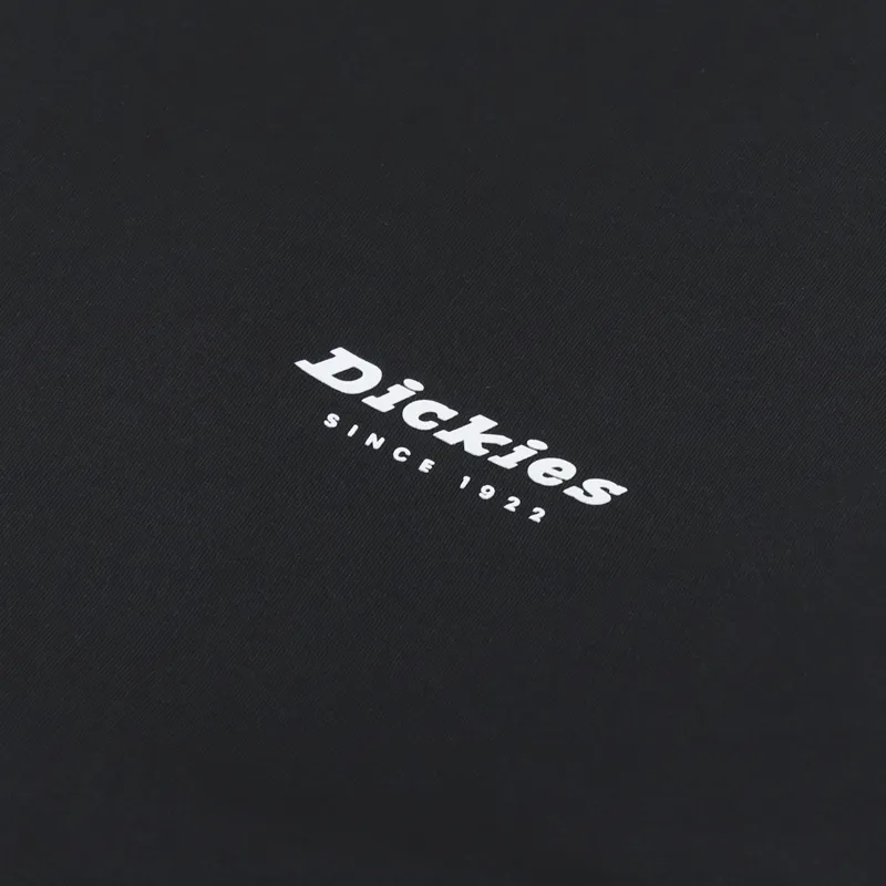 Dickies Artondale Box T Shirt Black-5