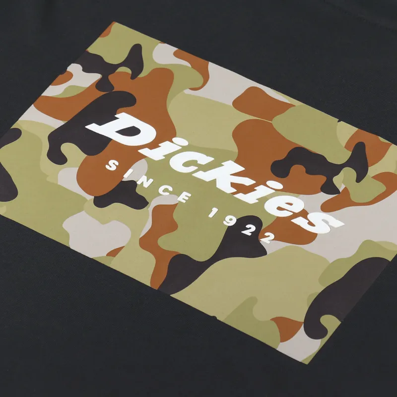Dickies Artondale Box T Shirt Black-4