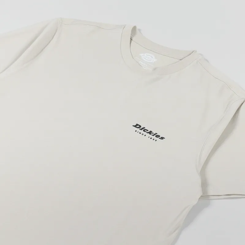 Dickies Artondale Box T Shirt Cement-3