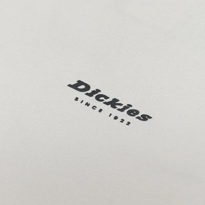 Dickies Artondale Box T Shirt Cement-5