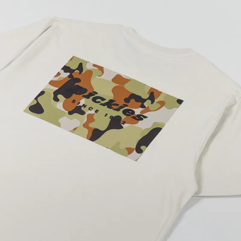 Dickies Artondale Box T Shirt Cement-2