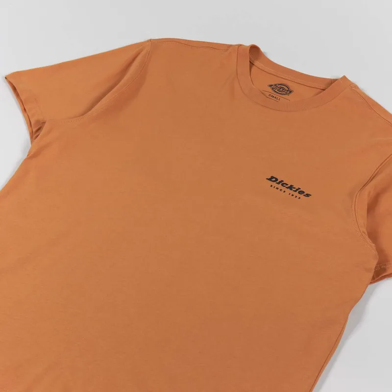 Dickies Artondale Box T Shirt Golden Ochre-3
