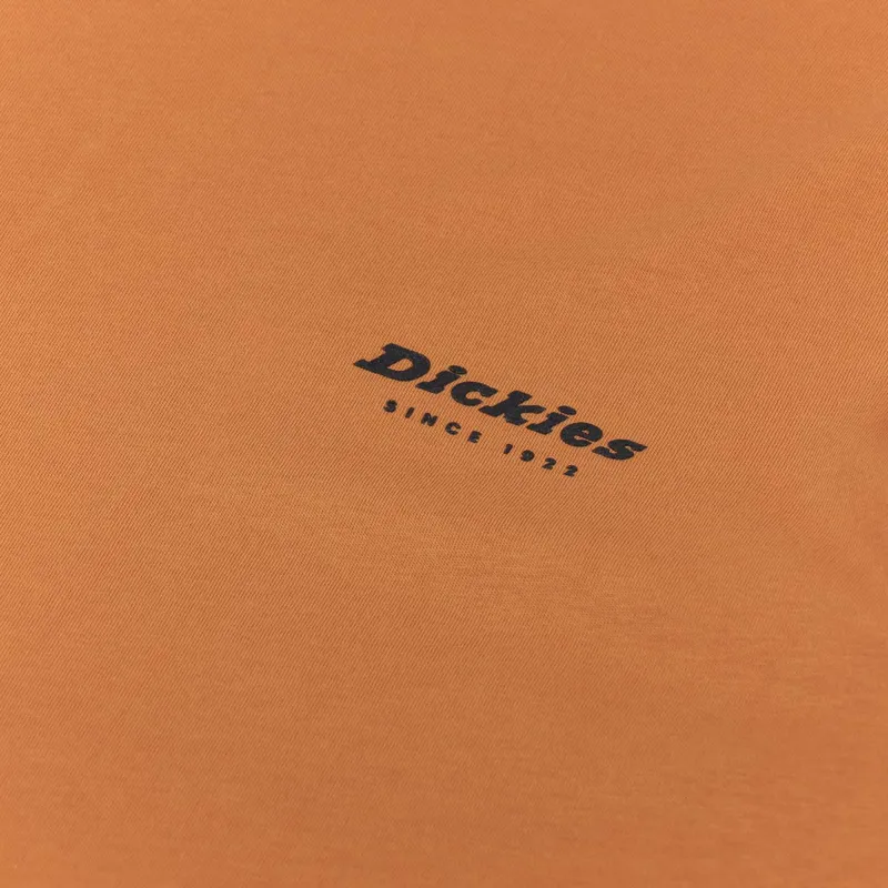 Dickies Artondale Box T Shirt Golden Ochre-5
