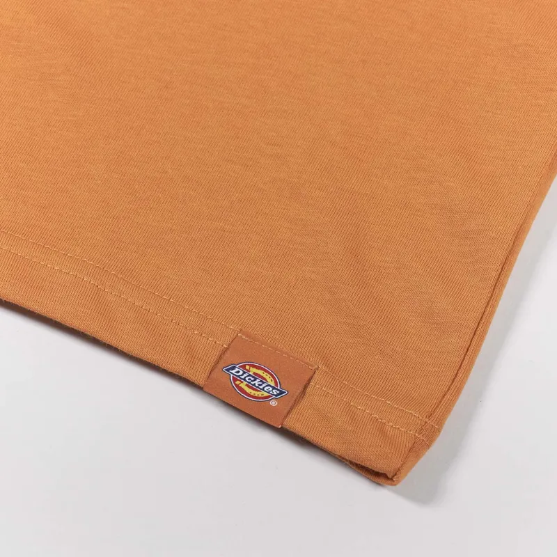 Dickies Artondale Box T Shirt Golden Ochre-6