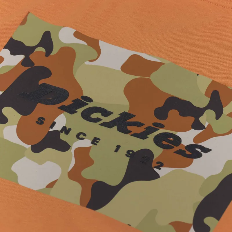 Dickies Artondale Box T Shirt Golden Ochre-4