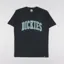 Dickies Aitkin T Shirt Black Deep Lake