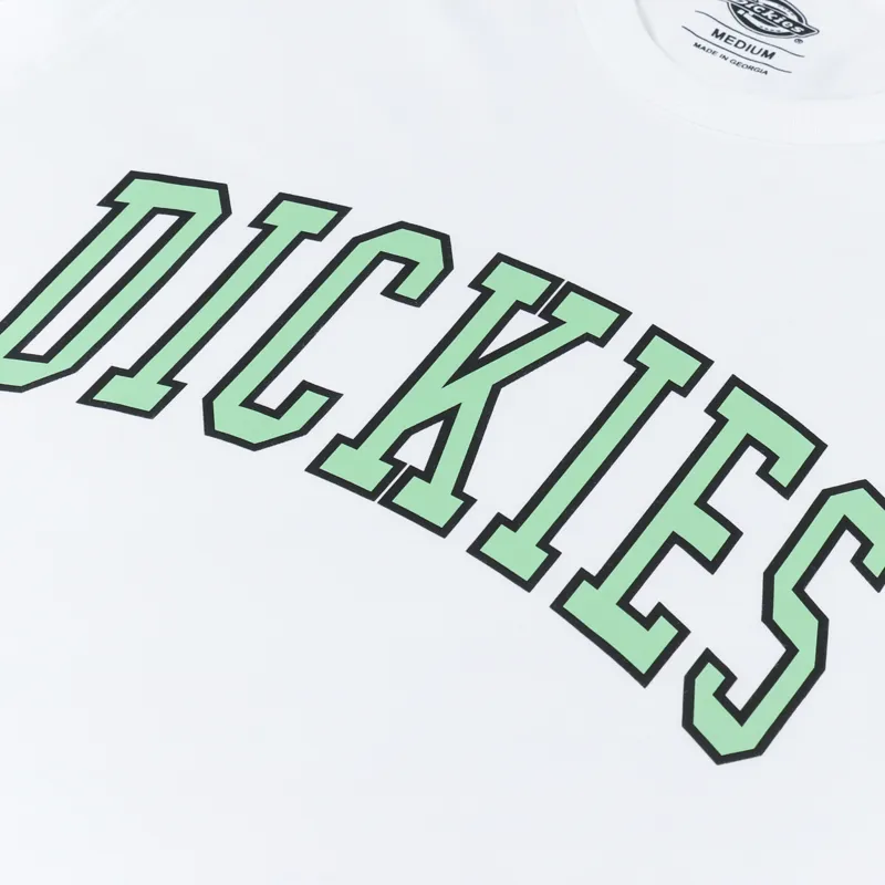 Dickies Aitkin T Shirt White Apple Mint-2
