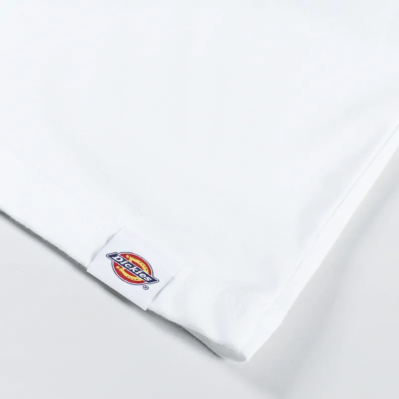 Dickies Aitkin T Shirt White Apple Mint-3