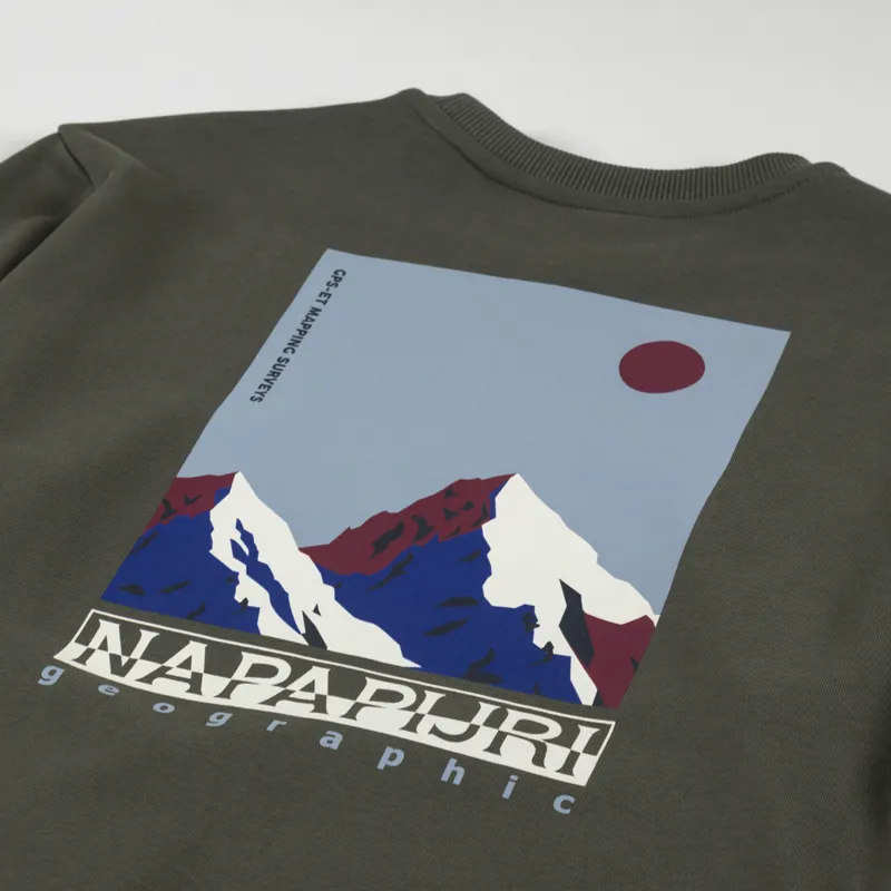 Napapijri Telemark Sweatshirt Green Depths-3