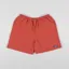 Patagonia Baggies Shorts 5 Inch Sumac Red