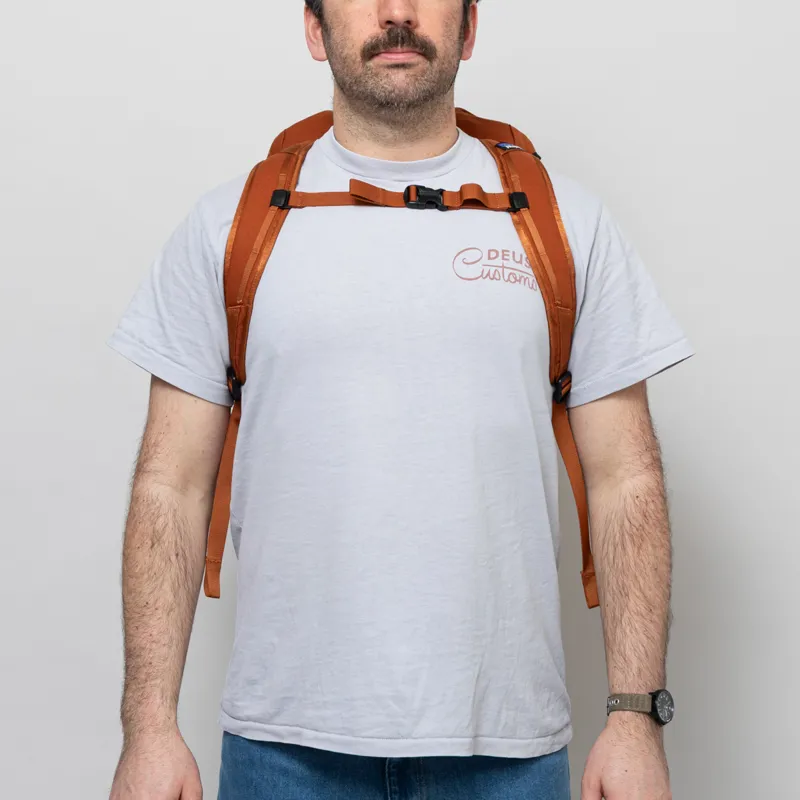 Patagonia Fieldsmith Lid Pack 28L Robin Brown-3